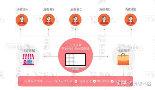 b2b2c多用户商城系统,功能 渠道 架构 商业模式整合方案